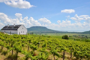 Dom wśród winnic - Węgry, Balaton